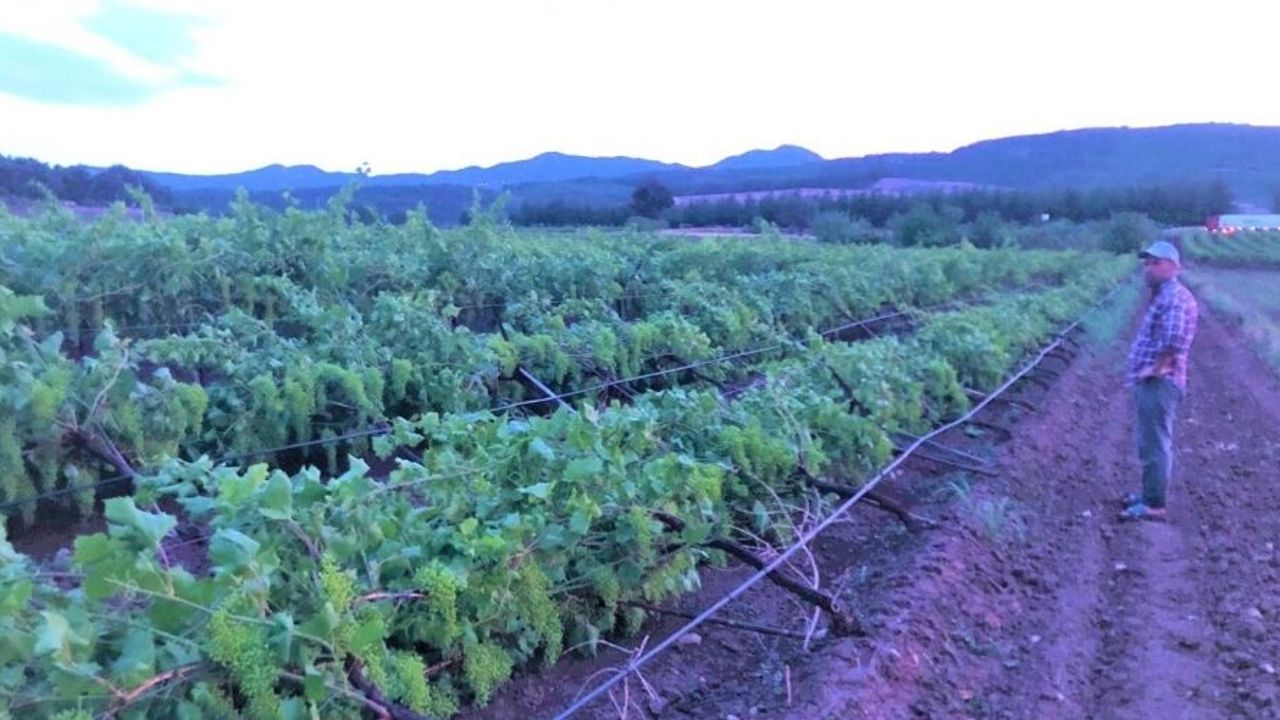 Kuraklık ve dolunun ardından çiftçiyi bu kez fırtına vurdu
