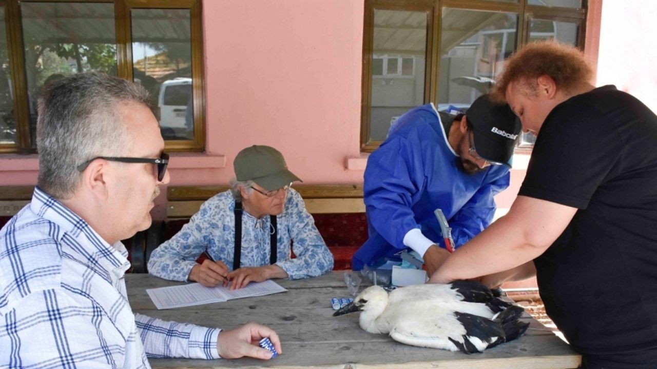 Yaren Leylek ve yavruları artık uydudan takip edilecek