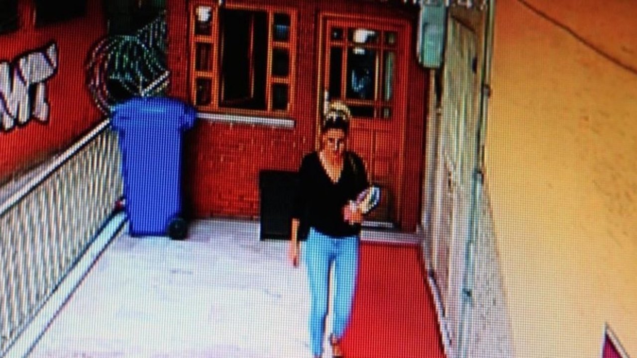 Melek Aslan cinayetinde kardeş ve azmettirici eski sevgiliye müebbet hapis