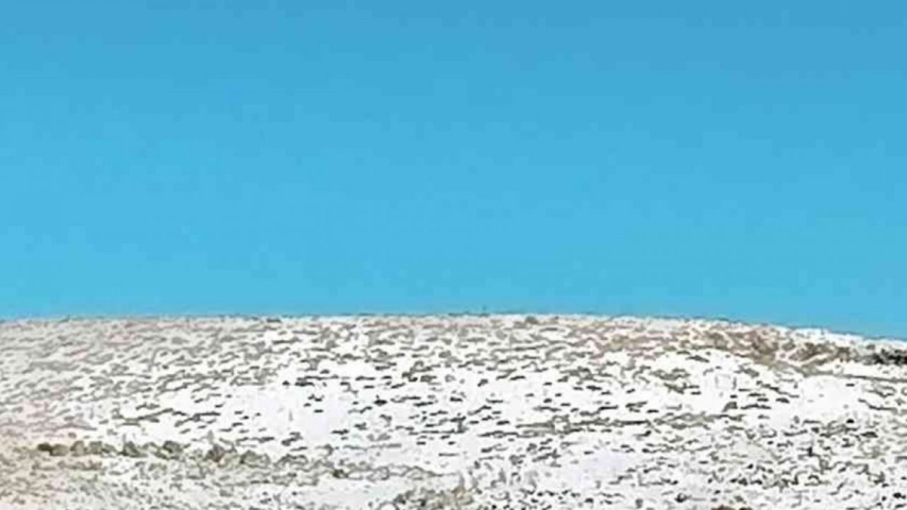 Diyarbakır’da kar yağışının etkili olduğu Ocak ayı bilançosu açıklandı: 436 kazada 277 kişi yaralandı