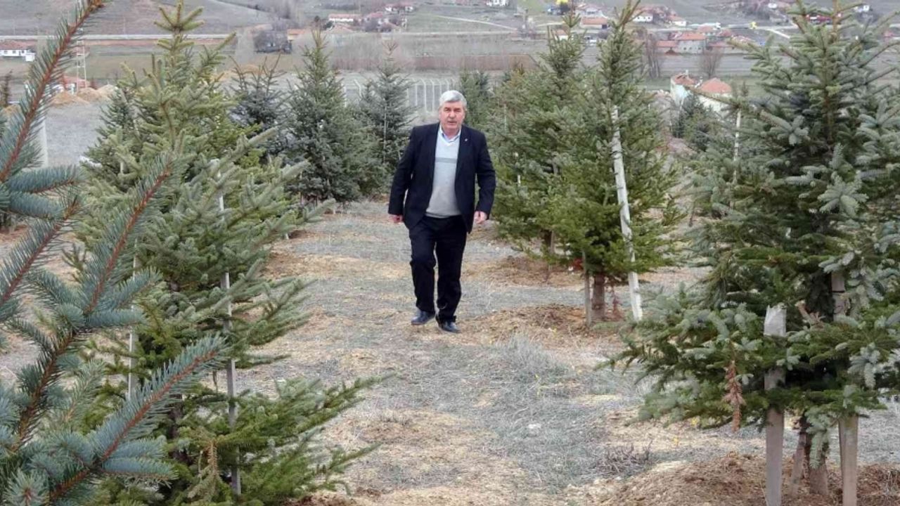 Bozkırı yeşillendiren ‘Oksijen Adam’ 300 bin fidanı toprakla buluşturdu