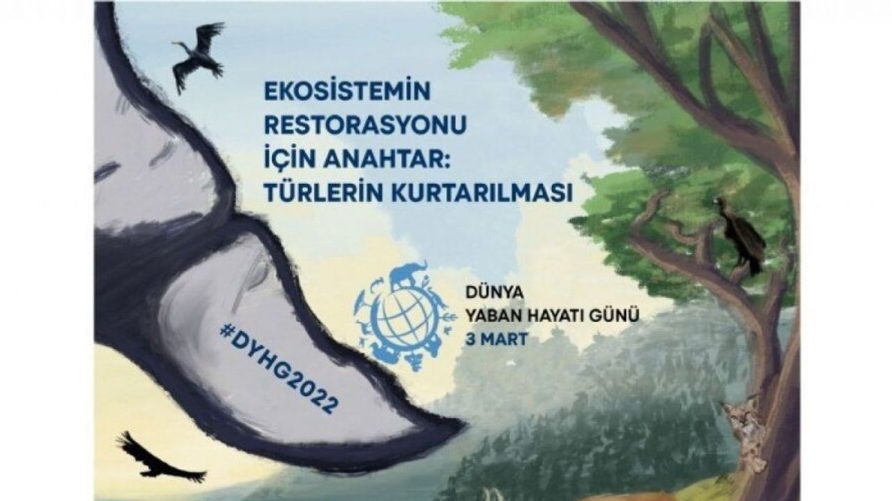 Türk Veteriner Hekimleri Birliği: “Yaban hayatından taraf olmazsak bertaraf olacağız”