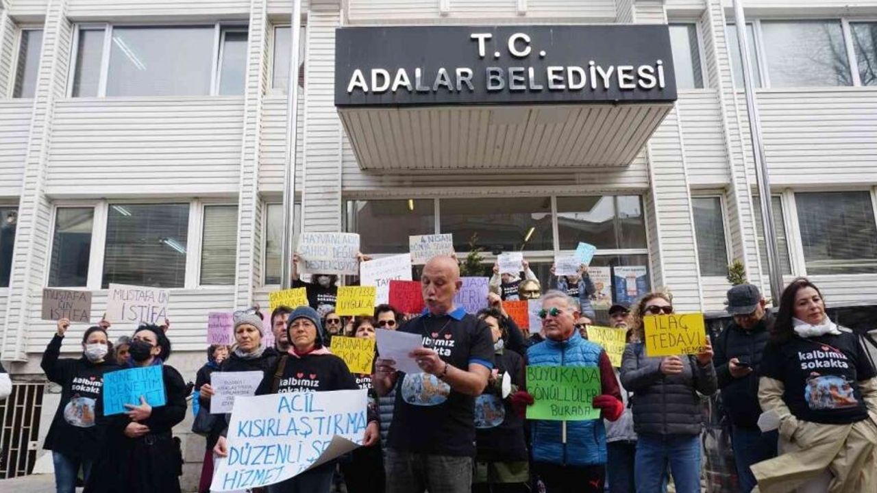 Büyükada’da hayvanseverlerden eylem: ‘Sokak hayvanlarıyla ilgili taleplerimiz yerine getirilmiyor’