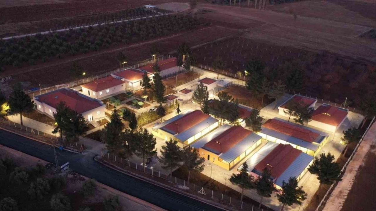 Gaziantep’te 4 ayda 150 sokak hayvanına yeni yuva bulundu