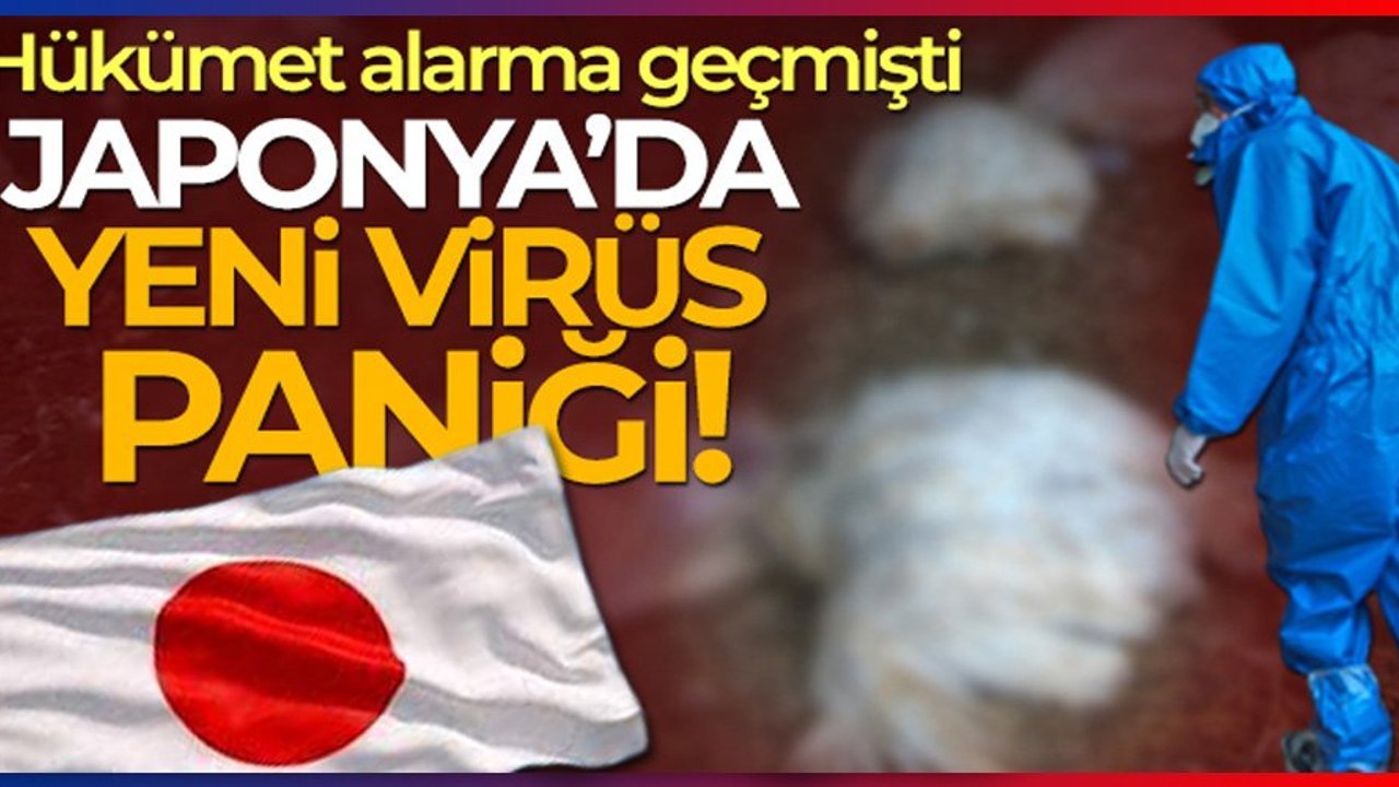 Japonya’da yeni virüs paniği: Kuş gribine ilk kez bir memelide rastlandı