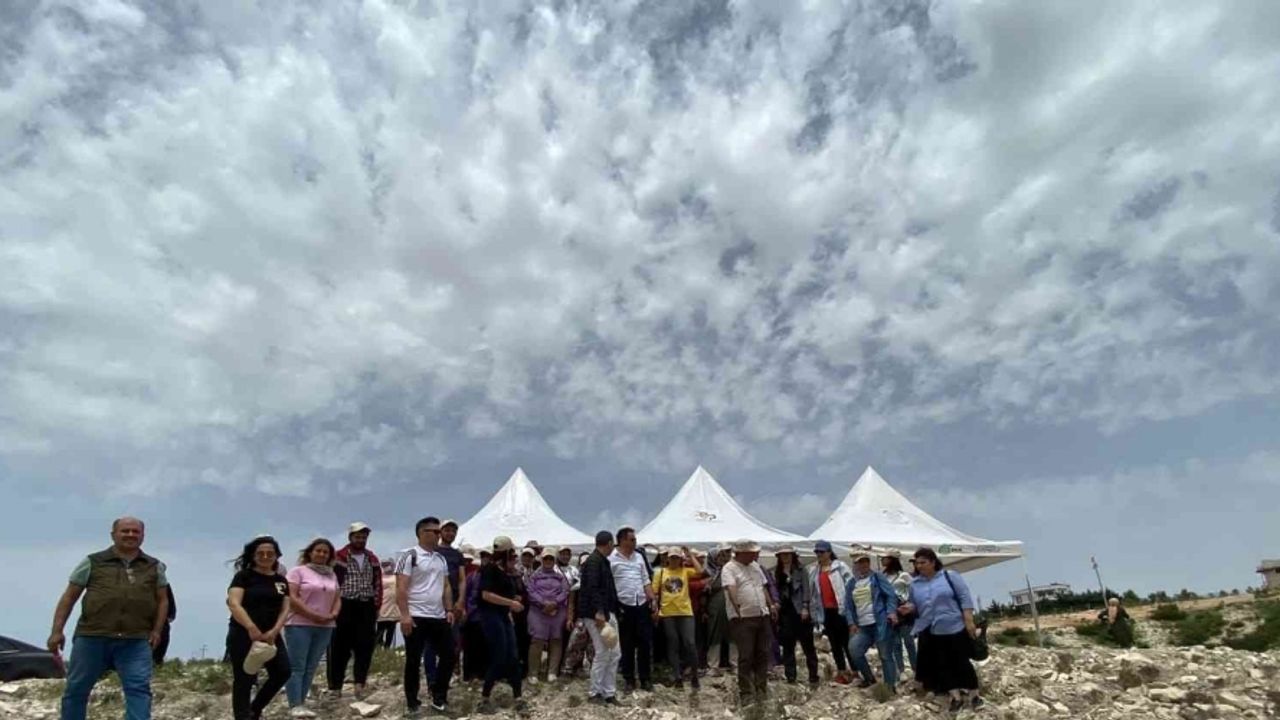 Tarımsal üretim alanında ilk ’’Tür Say’’ etkinliği yapıldı
