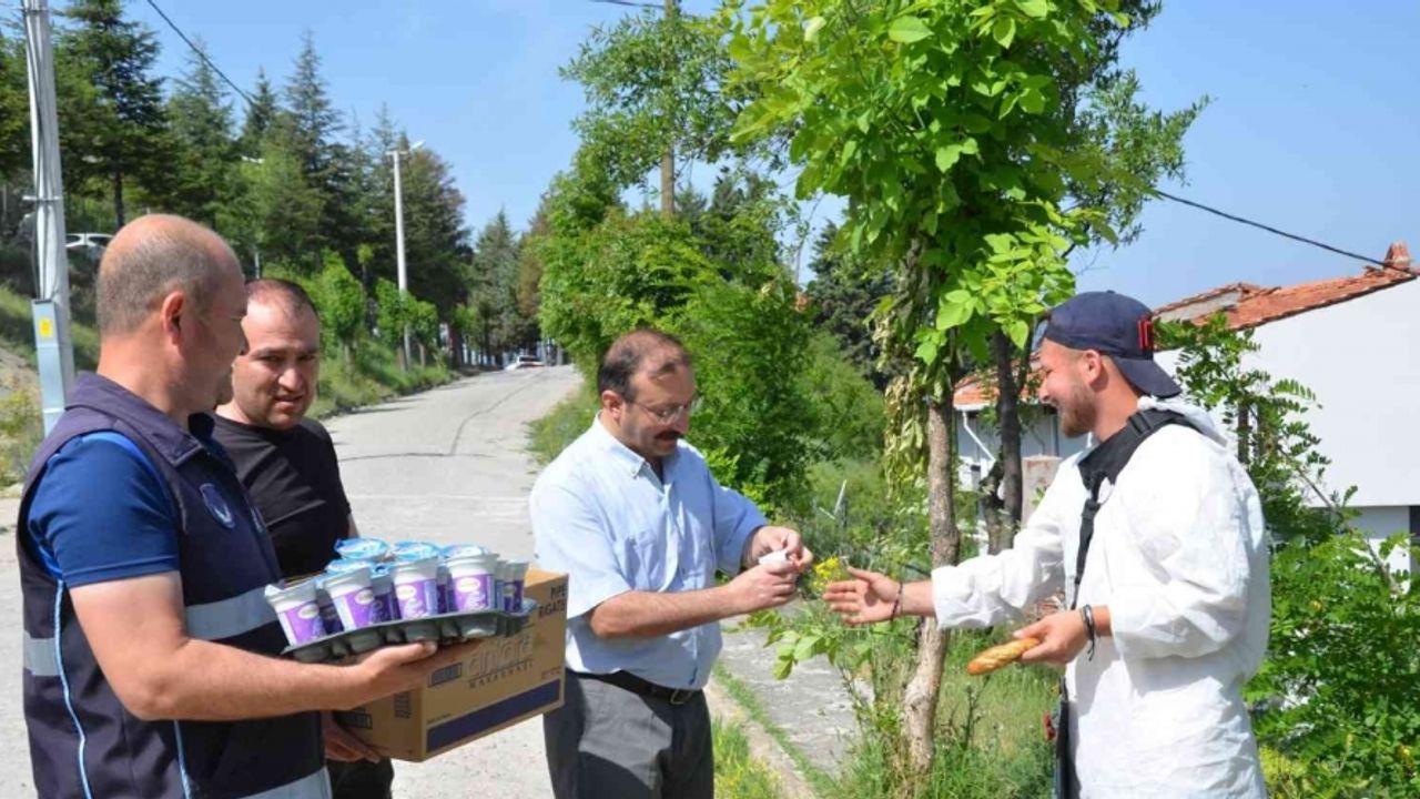 Daha temiz ve yeşil bir Emet için belediye ekipleri sahada