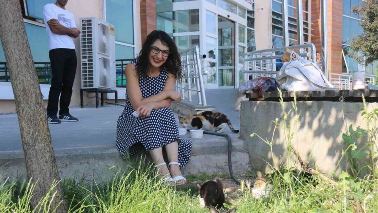 Hayvan fobisi olan doktor, şimdilerde kedilere mama vermeden kliniğine geçmiyor