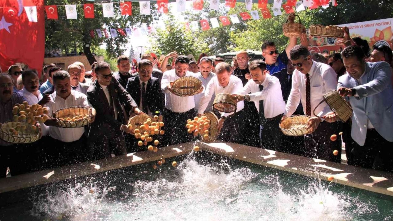 Mut Karacaoğlan Kayısı Festivali renkli anlara sahne oldu