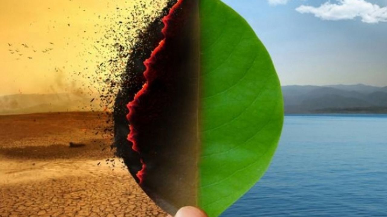 Akıllı ülkeler suyu korumak için sanal su ticareti yapıyor