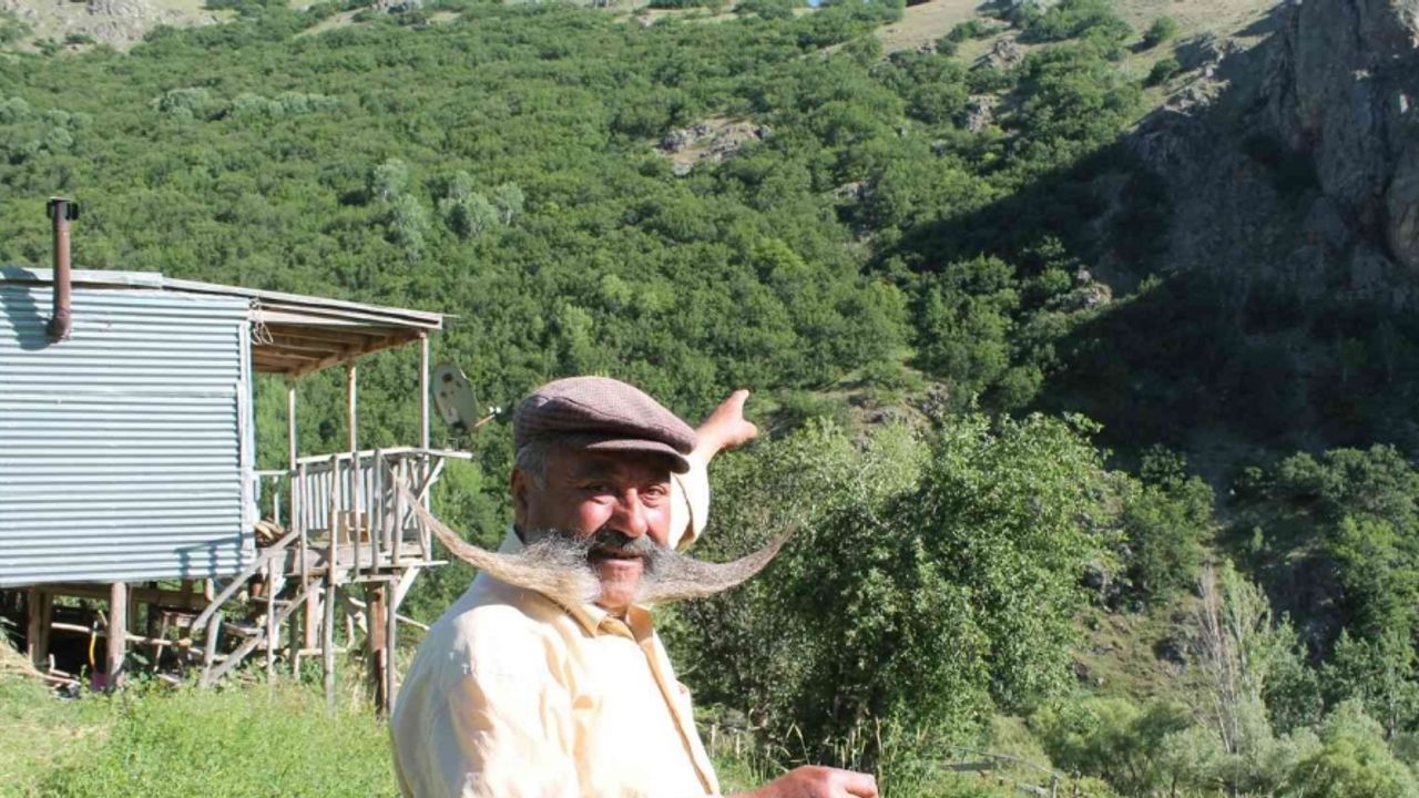 Ayının üzerine yürüyen meşhur pala dayı cesaretiyle ayıya geri adım attırdı