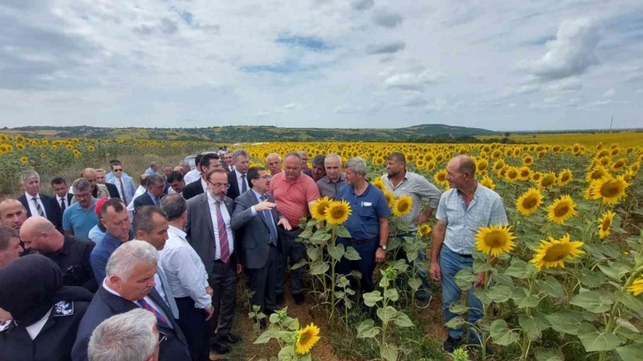 Bakan Yardımcısı Pakdil’den tırtıl istilası konusunda rahatlatan açıklama: “Ürkütücü bir tablo yok”