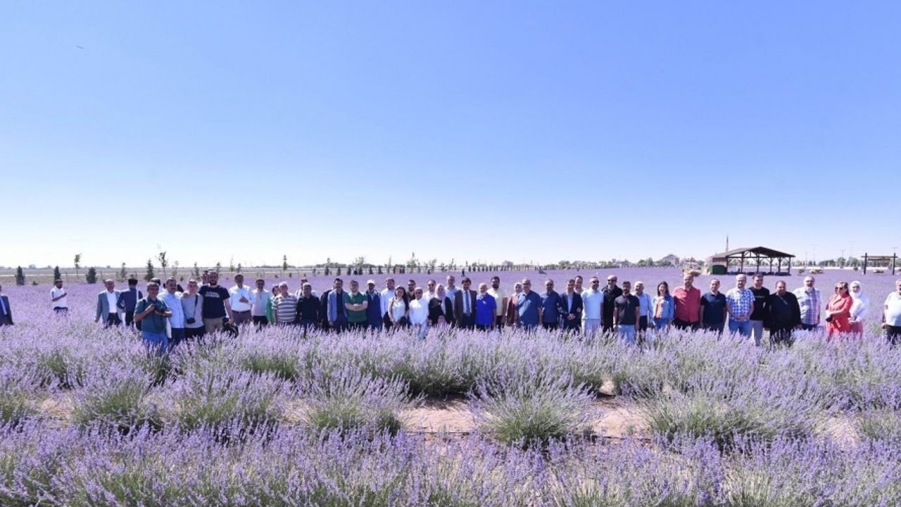 Hasan Kılca: “Türkiye’nin en büyük lavanta bahçesi Karatay’da”