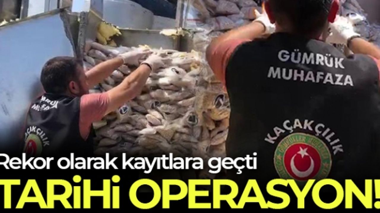 İstanbul Ambarlı Limanı’nda 12.3 milyon adet captagon hap ele geçirildi