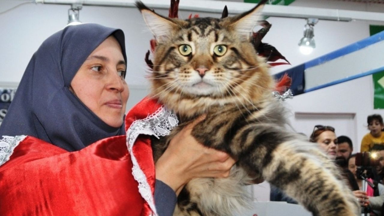 Türkiye’nin en büyük pet fuarı Eylül’de Ankara’da başlayacak