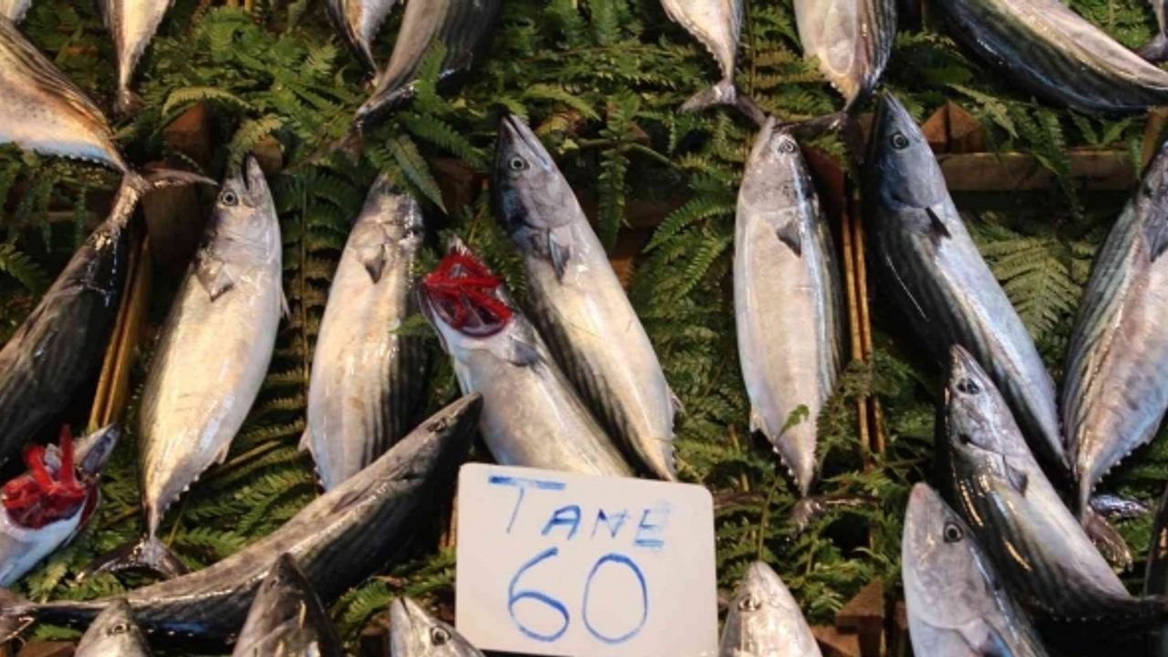 Bandırma’da olumsuz hava şartları balık fiyatlarını etkiledi