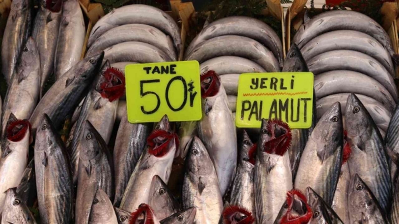 Bandırma’da palamut balığına vatandaşlardan yoğun ilgi