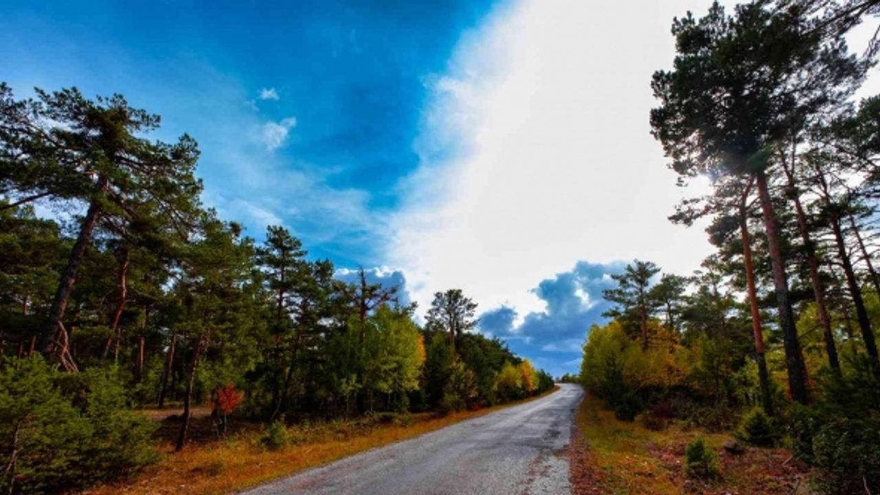 Akdağmadeni ormanında güz renkleri göz kamaştırıyor