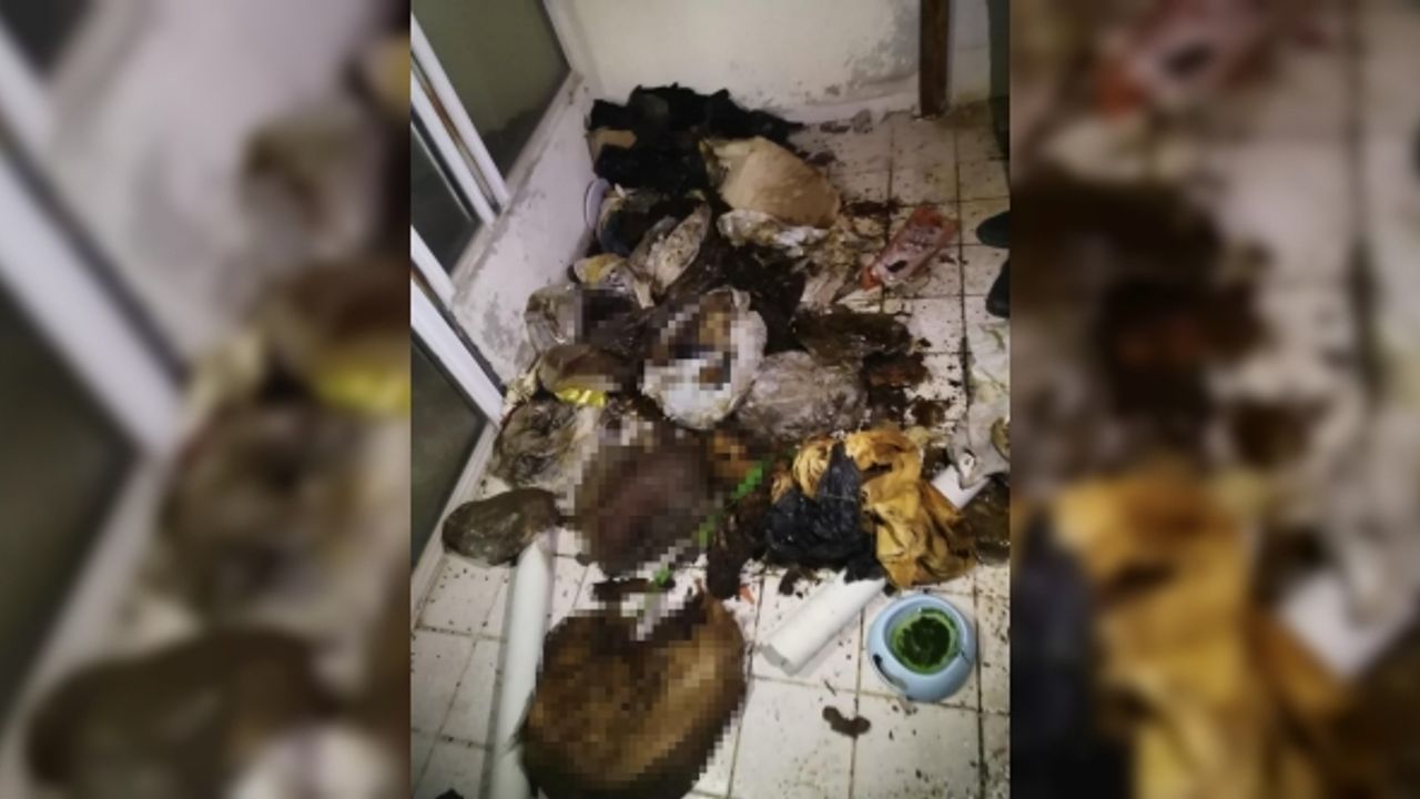 Evde çok sayıda kedi ve köpek ölüsü bulundu