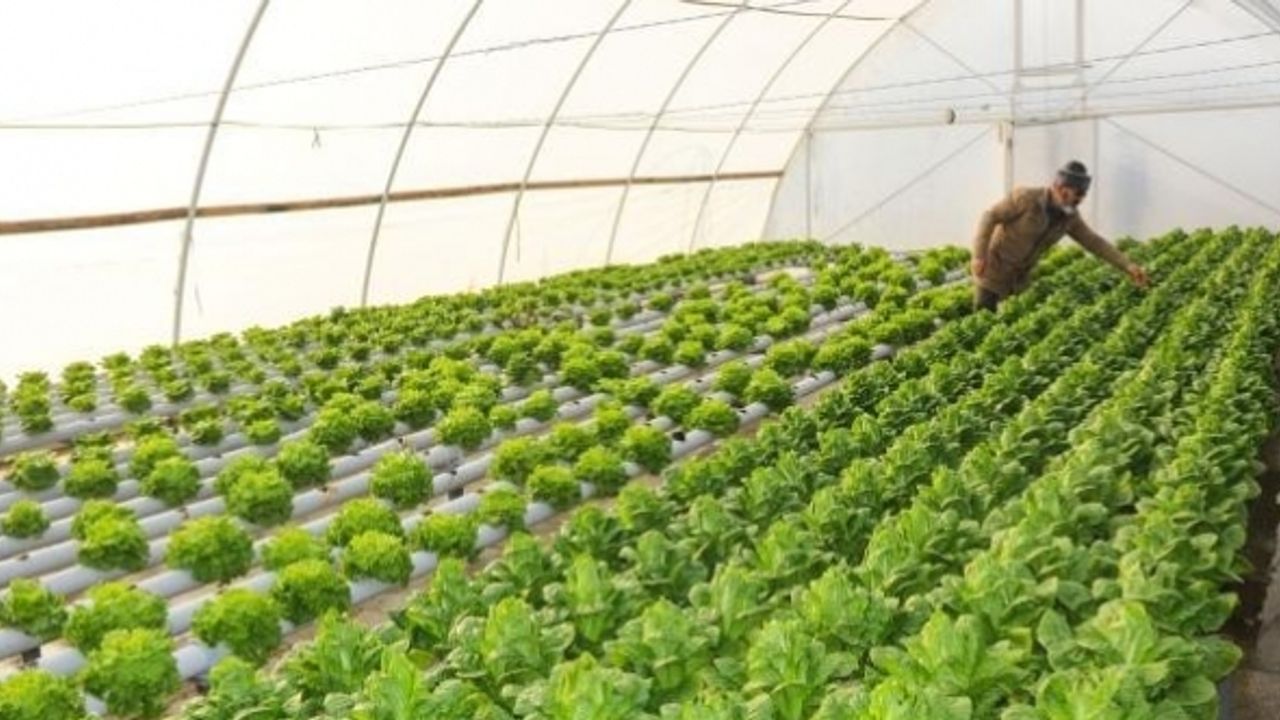 Sera yapmak isteyen üreticiye 300 bin liraya kadar hibe desteği