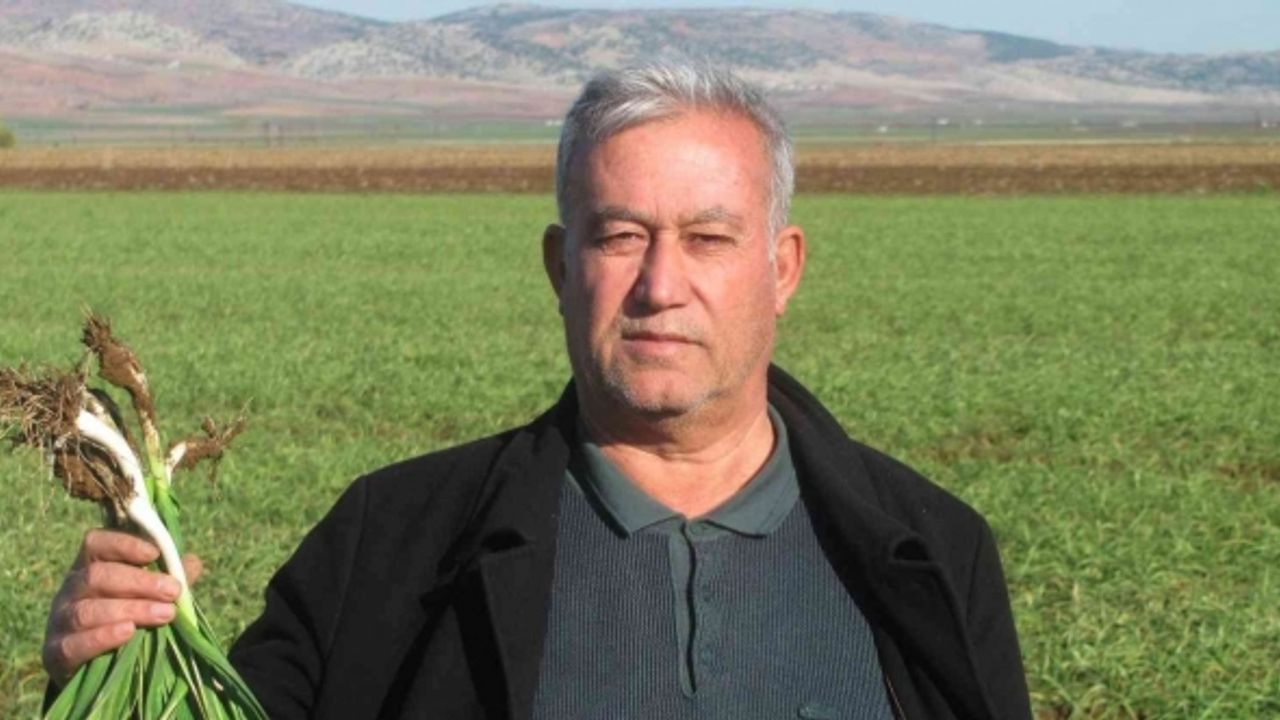 Virüs savar Araban sarımsağı için geri sayım başladı