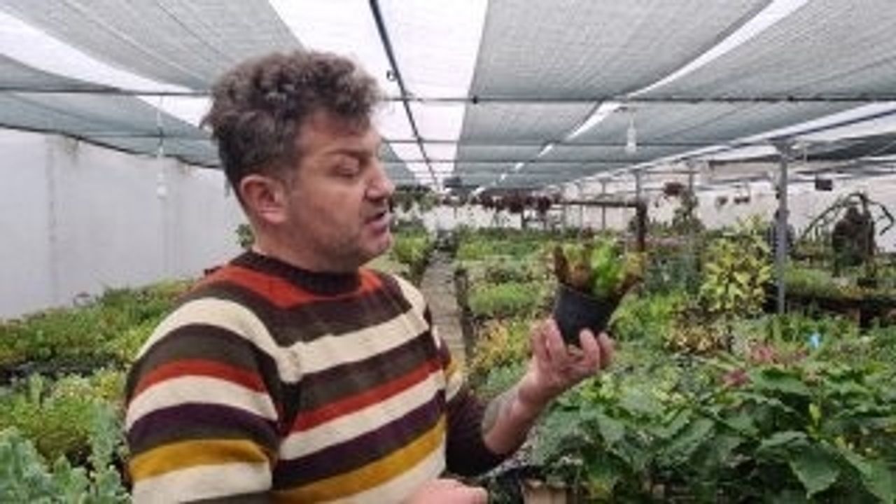 Yurt dışından getirdiği sinek ve böcek yiyen bitkiler büyük ilgi görüyor