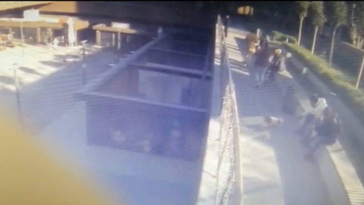 Şişlide cins köpek hırsızlığı kamerada: Köpek, polis baskınıyla kurtarıldı