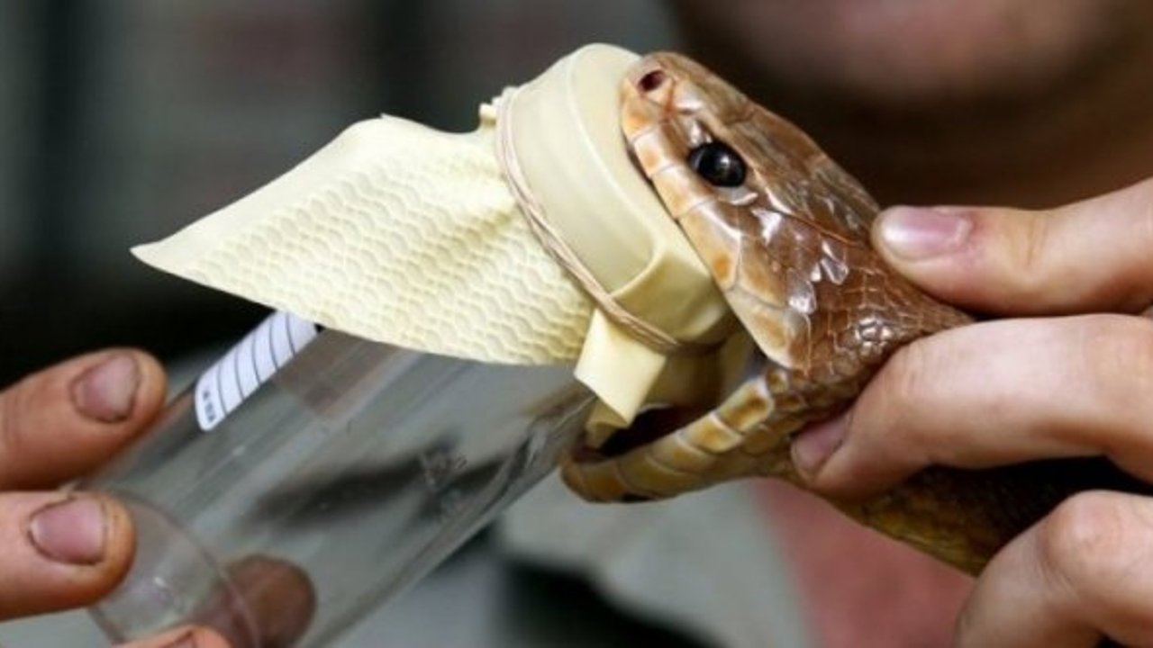 Tek bir hatanın ölümle sonlanabileceği, en tehlikeli meslekler