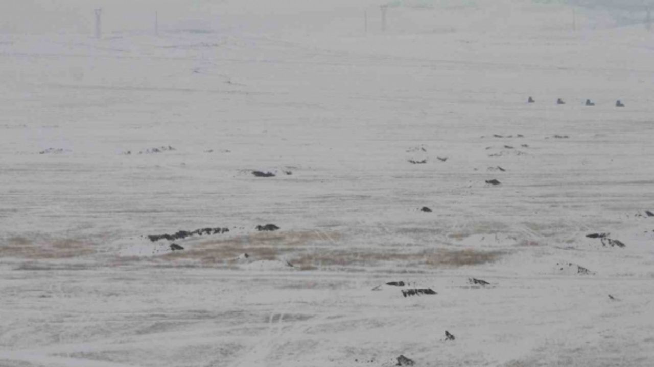 MSB’den Cumhuriyet tarihinin en kapsamlı kış tatbikatı: “Kış Tatbikatı-2023”