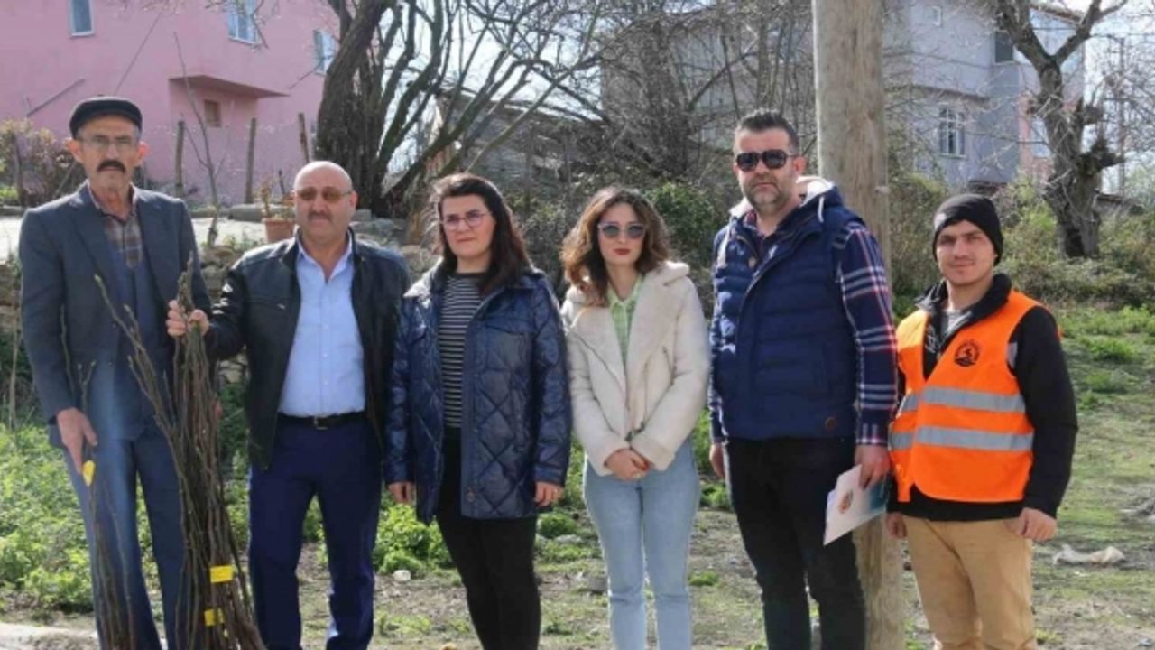 Atakum’da çiftçiye 1000 incir fidanı desteği