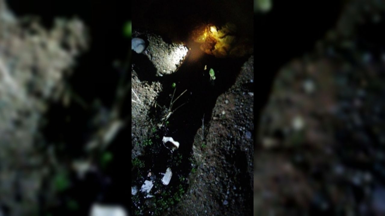 Boru hattından sızan ham petrol Dicle Nehri’ne aktı