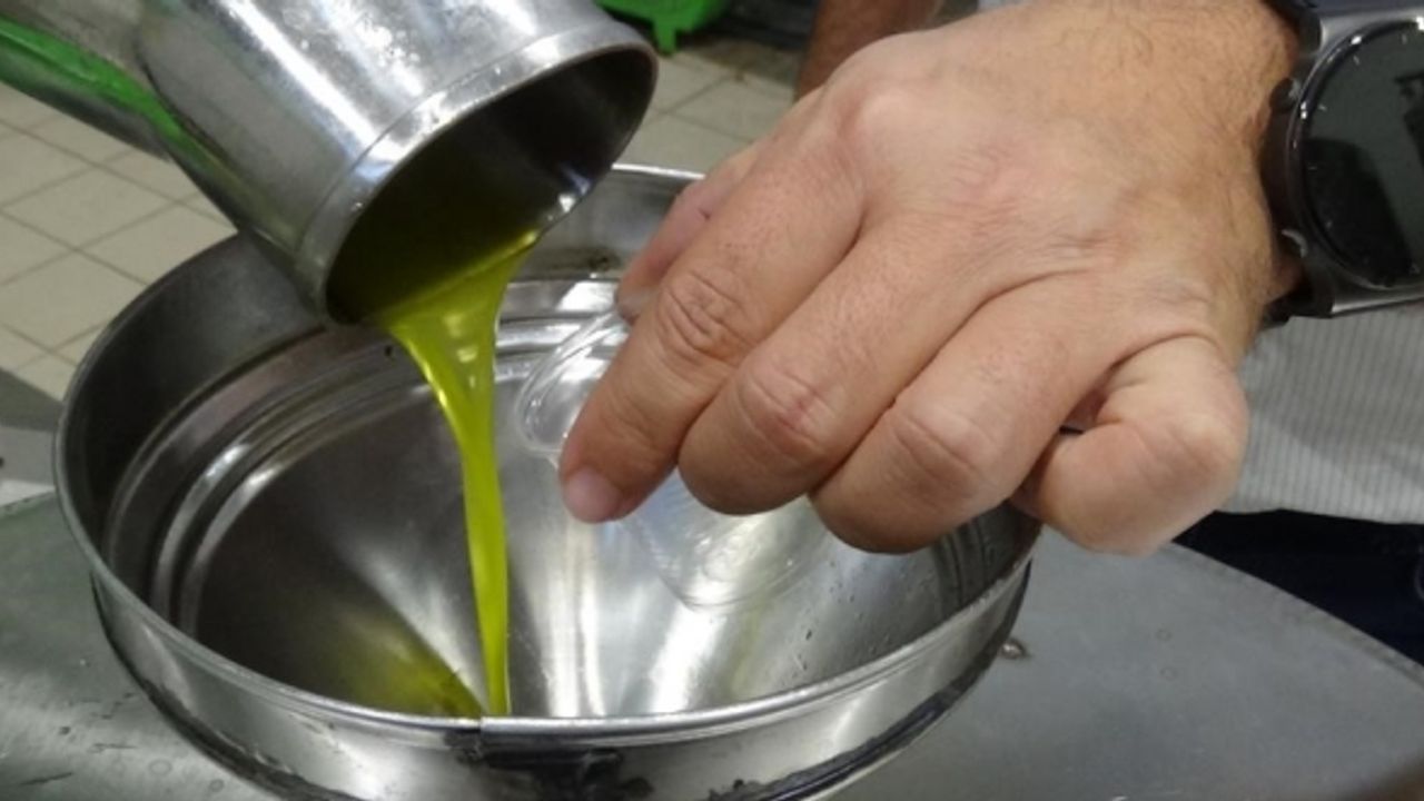 Edremit Zeytinyağı’nın Avrupa Birliği tarafından tescillenmesi için son viraj dönüldü