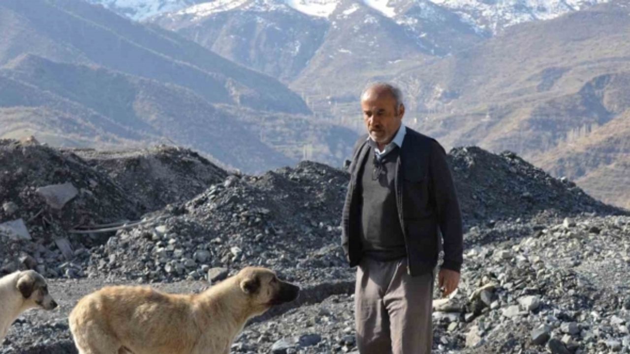 Hayırsever vatandaş sokak köpekleri için 30 kilometre yol kat ediyor