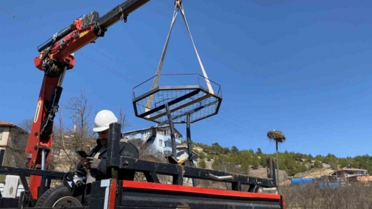 Leylek ölümlerini azaltmak için elektrik direklerine özel yuvalar taktılar