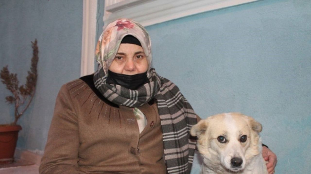 Mahallenin maskotu ’Çirkin’ alkış sesi duyunca oynamaya başlıyor