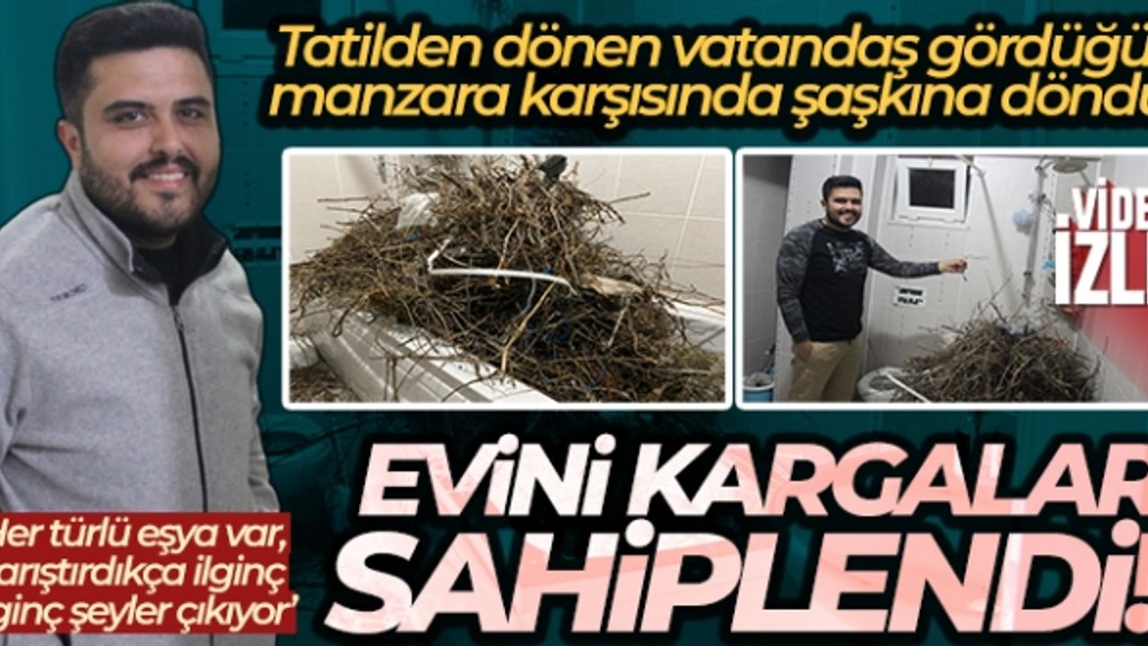 Tatilden dönen vatandaş gördüğü manzara karşısında şaşkına döndü: Kargalar 15 günde evi çöplüğe çevirdi