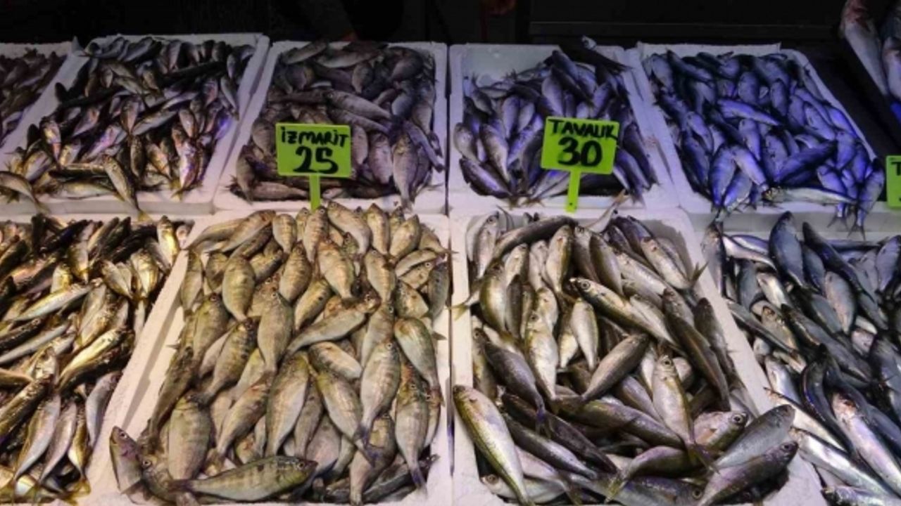 Trabzon Balıkhali’nin en ucuz balıkları İzmirli İzmarit ve Kupes
