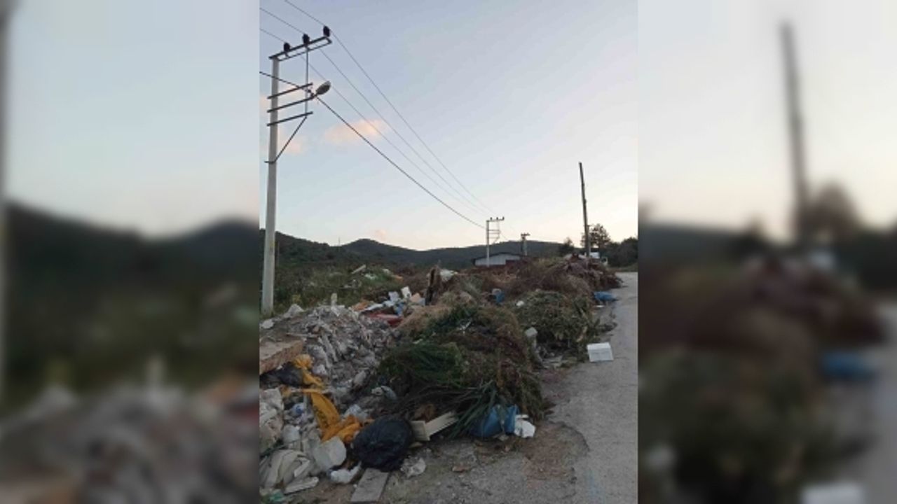 Turistik belde Güllük adeta çöplük oldu, vatandaşlar Milas Belediyesi’ni göreve davet etti