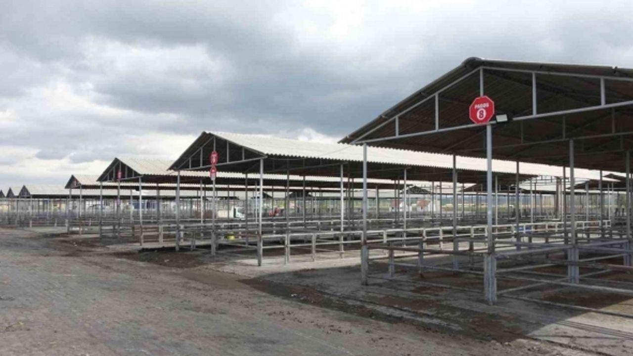 Kurban Bayram’ı öncesi Sivas’ta tüm hayvan pazarları kapatıldı
