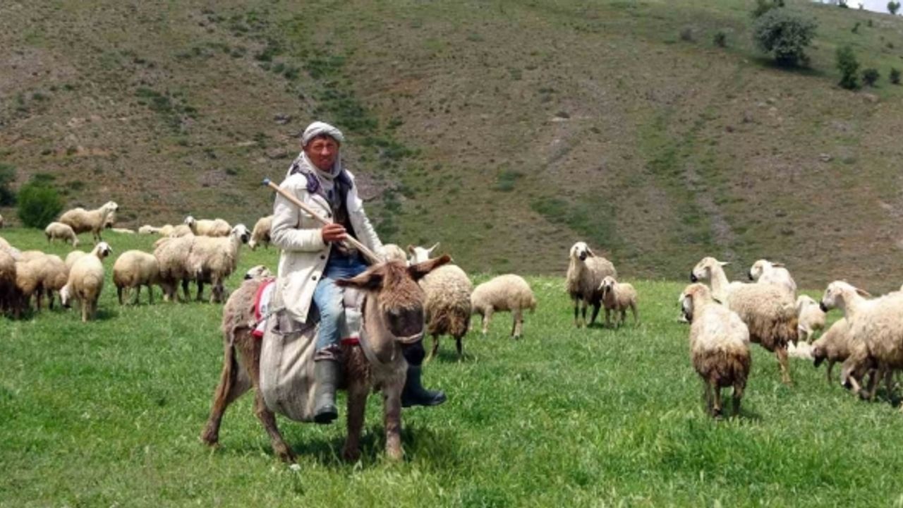 Yozgat’ta 16 bin lira maaşlı iş, Türkler beğenmeyince Afganlara kaldı