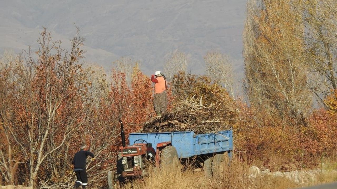 Köylerde kışlık odun hazırlığı başladı