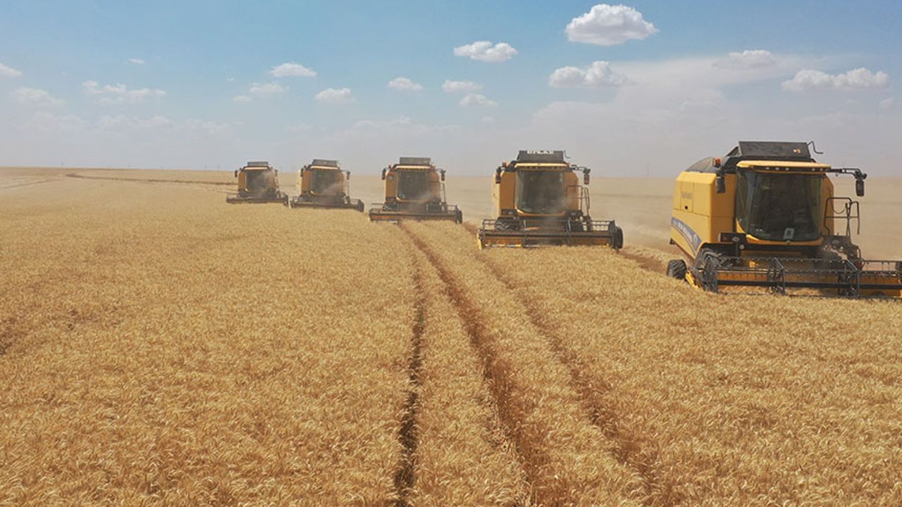 TİGEM işletmelerinden hasat rekoru: “392 bin ton”