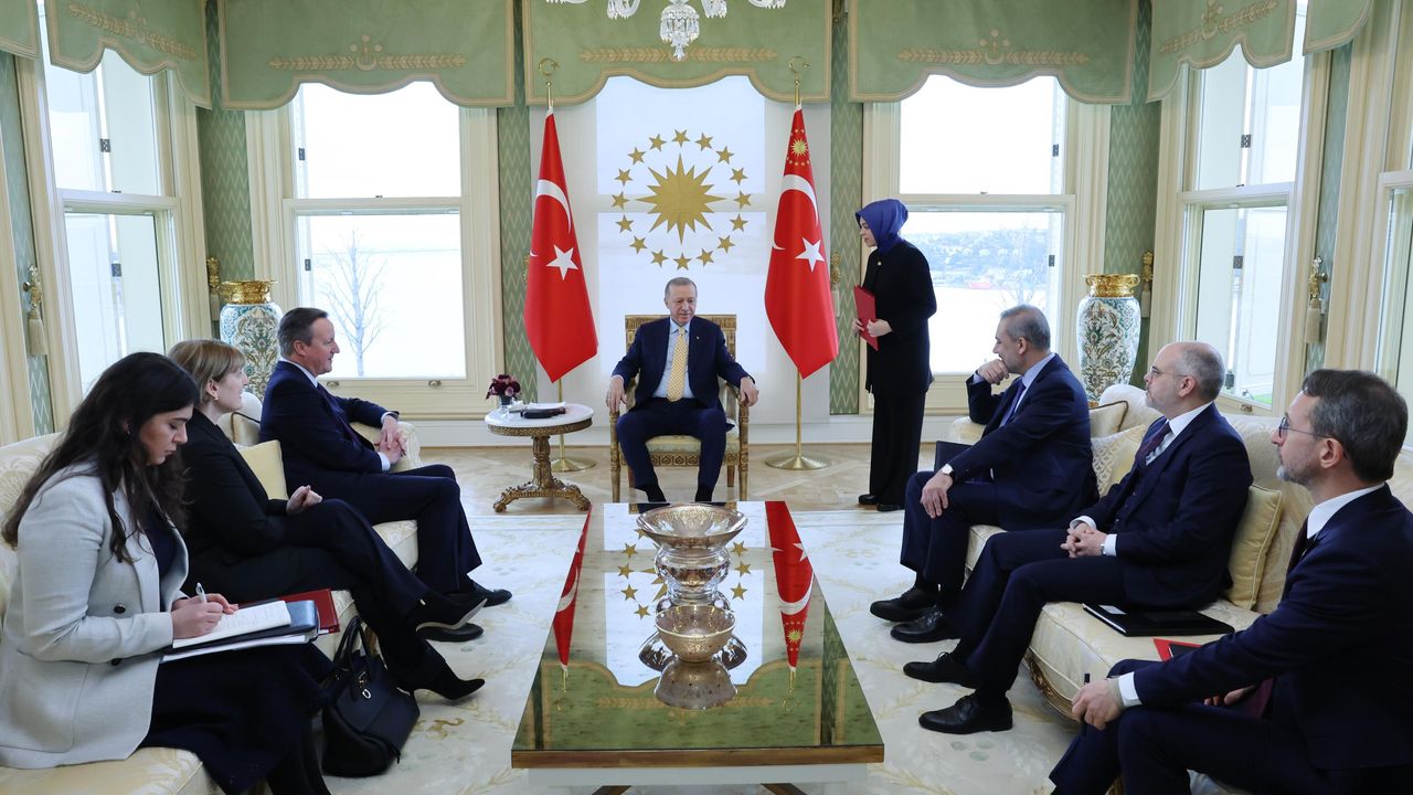 Erdoğan, Birleşik Krallık Dışişleri Bakanı Cameron'u kabul etti
