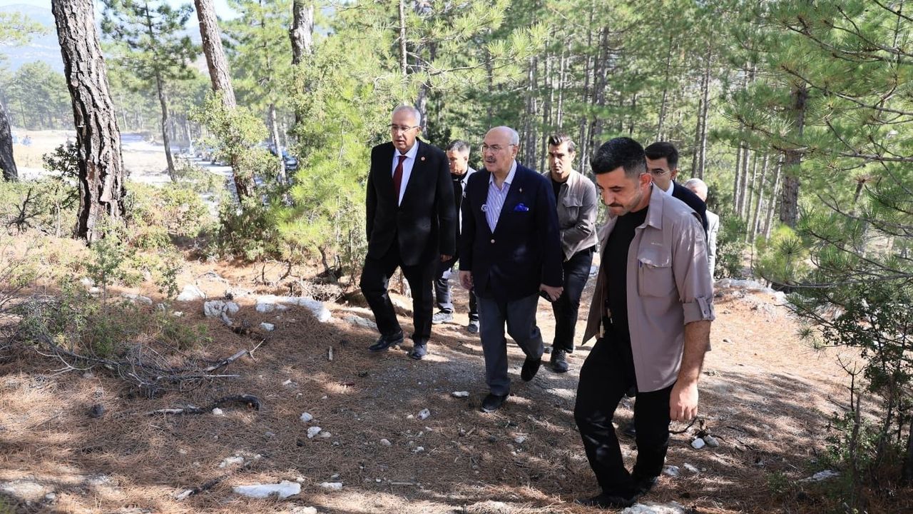 Vali Köşger Çameli Projelerini İnceledi