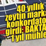BAKTAT Zeytin’e 1 yıllık kesin mühlet: Baklan ailesinin 40 yıllık gıda serüveninde kritik dönem