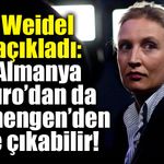 Weidel açıkladı: Almanya Euro’dan da Schengen’den de çıkabilir!