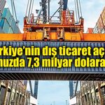 Türkiye’nin dış ticaret açığı temmuzda 7,3 milyar dolara çıktı