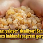 “Yağları yakıyor” deniliyordu! Sandaloz sakızı gerçekten zayıflatıyor mu?