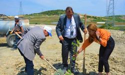 Lapseki’de ağaçlandırma çalışması
