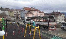 Tosya Belediyesi kamelya üretiminde rekor kırdı